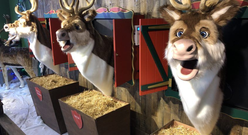 christmas display with singing reindeer