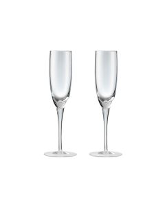 China By Denby Champagne Flutes - S/2