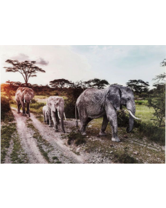 Elefant Family