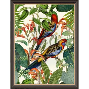 Exotic Jungle Birds