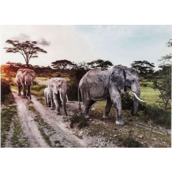 Elefant Family